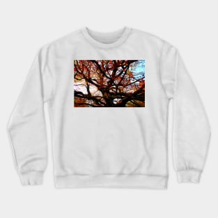 Bizarrely curved and interwoven branches of a beech tree with red leaves in Canfaito forest Crewneck Sweatshirt